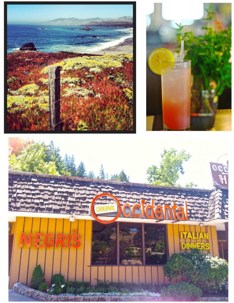 one of the deadliest beaches in california is also one of the most beautiful...a cocktail from our day trip to occidental at negris (a must see dive bar/restaurant)