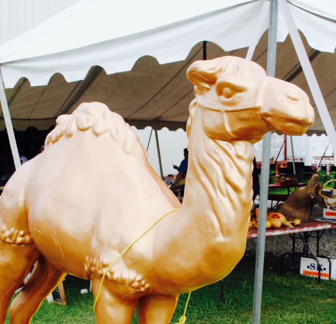 Gold camel statue from Adventures on the 127 yard sale- Day 3- Albany to Crossville from Dear Handmade Life
