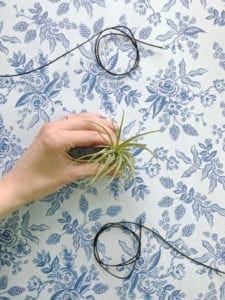DIY Air Plant in a Vintage-inspired Hand-knotted Wire Hanger from Dear Handmade Life